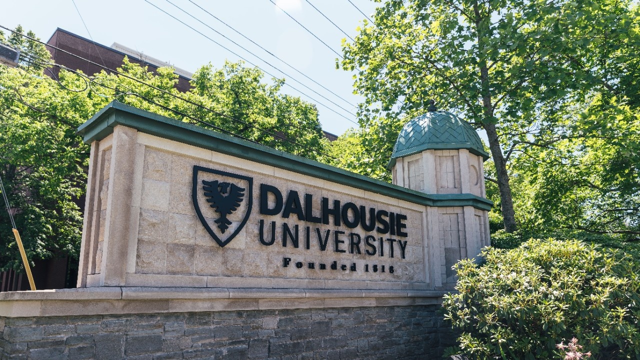 Dalhousie University Scholarships for International Students 2024 | Fully Funded